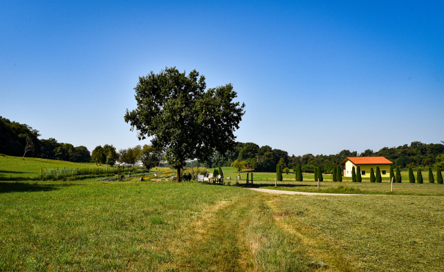 campi piana di Vegonno